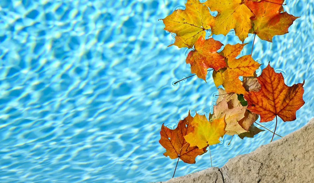 Keeping your fiberglass pool party-ready through all seasons with Aviva Pools’ automatic covers