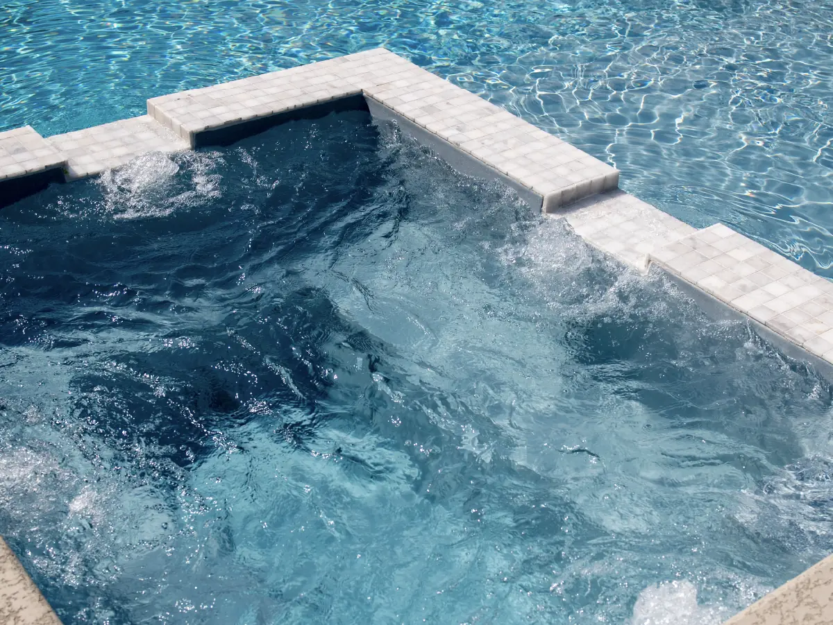 bonding time with your pet