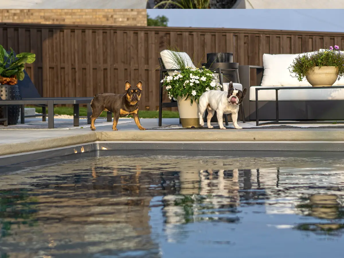 The hidden dangers of fallen leaves in a pool