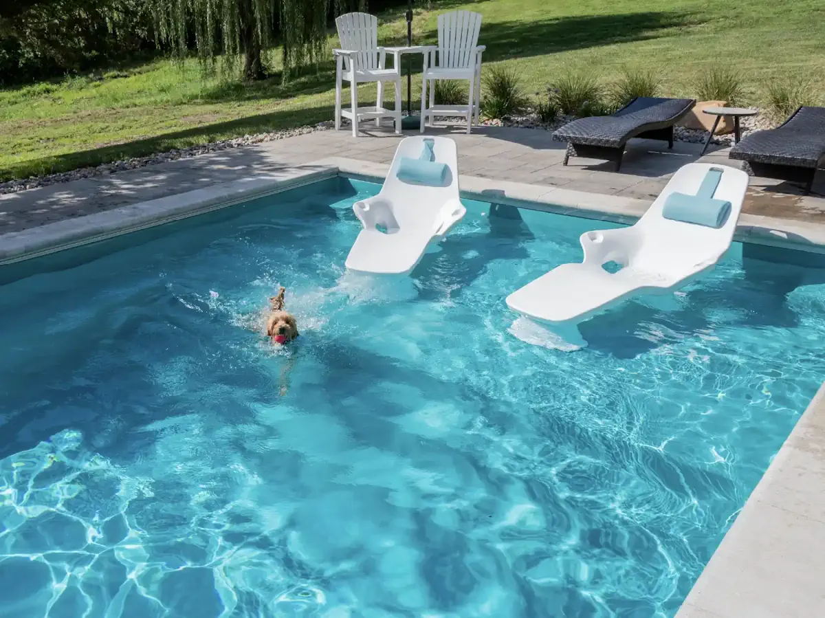 Discovering Pool Designs Suited to Georgia Properties